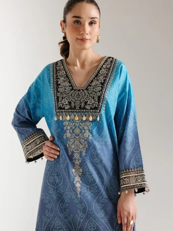 EMBROIDERED SHIRT